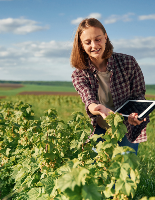 Agriculture.png