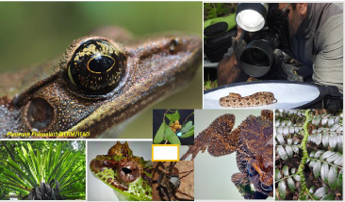 Biodiversity Assessment in Dak Cheung, Sekong Province